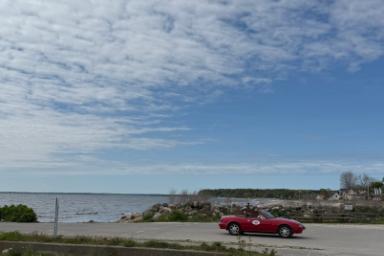 IMG_5437.jpeg IMG_5437.jpeg